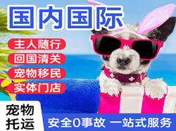 天水麦积山空运公司国际宠物托运 【国